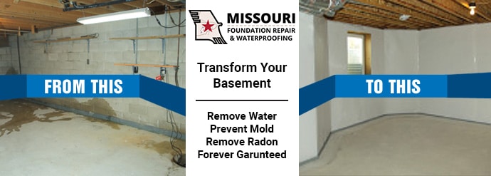 Basement Waterproofing, Foundation Repair, Mold Removal